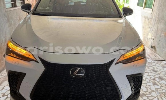 Ra Àlòkù Lexus NX funfun Ọkọ̀ in Cotonou ni Benin