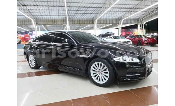 Buy Import Jaguar XJ Black Car in Import - Dubai in Benign Buy Import Jaguar XJ Black Car in Import - Dubai in Benign
