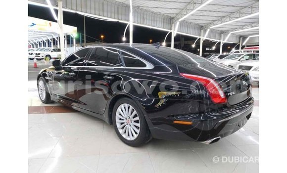 Buy Import Jaguar XJ Black Car in Import - Dubai in Benign Buy Import Jaguar XJ Black Car in Import - Dubai in Benign