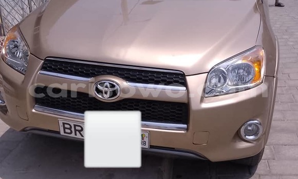 Buy Used Toyota RAV4 Beige Car in Cotonou in Benign