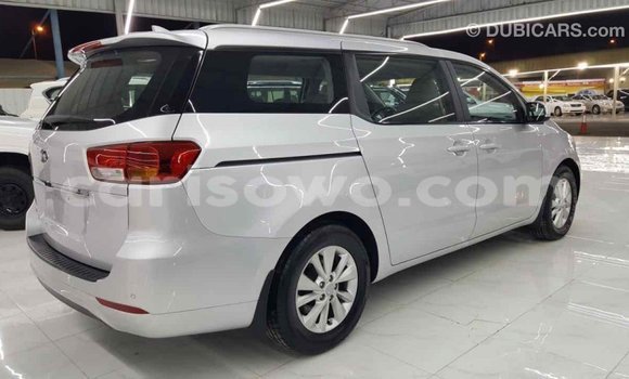 Buy Import Kia Carnival Other Car in Import - Dubai in Benign Buy Import Kia Carnival Other Car in Import - Dubai in Benign