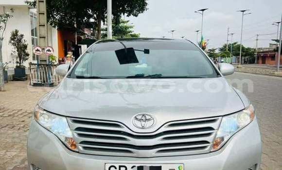 Acheter Occasion Voiture Toyota Venza Gris à Cotonou, Benin