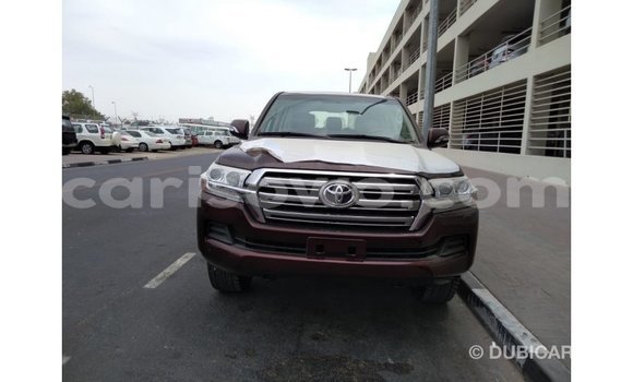 Buy Import Toyota Land Cruiser Brown Car in Import - Dubai in Benign Buy Import Toyota Land Cruiser Brown Car in Import - Dubai in Benign