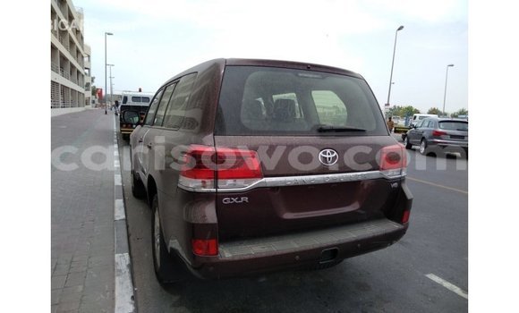 Buy Import Toyota Land Cruiser Brown Car in Import - Dubai in Benign Buy Import Toyota Land Cruiser Brown Car in Import - Dubai in Benign