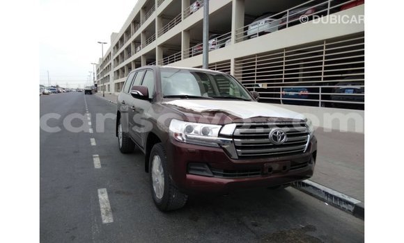 Buy Import Toyota Land Cruiser Brown Car in Import - Dubai in Benign Buy Import Toyota Land Cruiser Brown Car in Import - Dubai in Benign