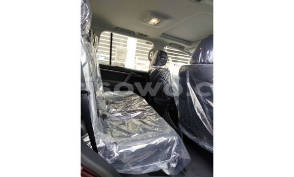Buy Import Toyota Land Cruiser Brown Car in Import - Dubai in Benign Buy Import Toyota Land Cruiser Brown Car in Import - Dubai in Benign