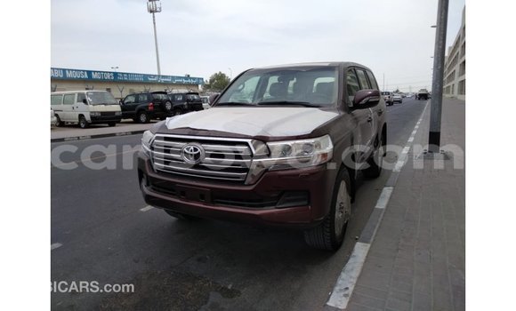 Buy Import Toyota Land Cruiser Brown Car in Import - Dubai in Benign Buy Import Toyota Land Cruiser Brown Car in Import - Dubai in Benign
