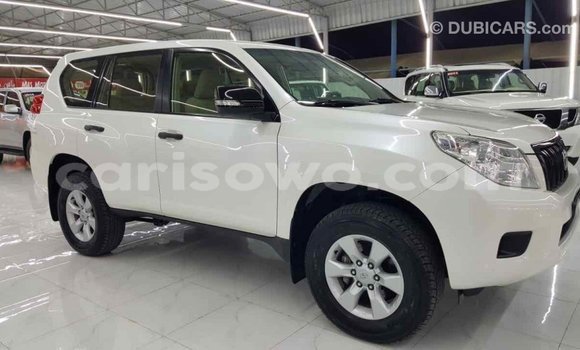 Buy Import Toyota Prado White Car in Import - Dubai in Benign Buy Import Toyota Prado White Car in Import - Dubai in Benign