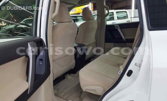 Buy Import Toyota Prado White Car in Import - Dubai in Benign Buy Import Toyota Prado White Car in Import - Dubai in Benign