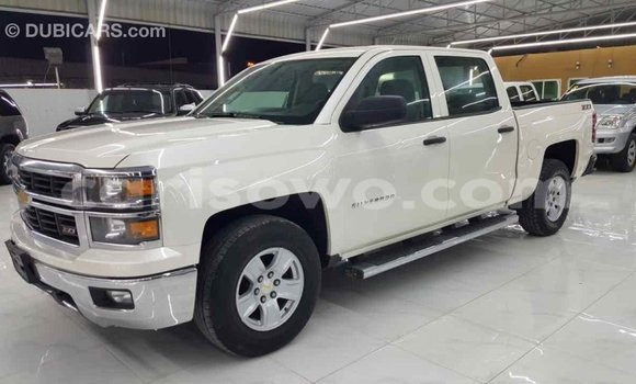 Buy Import Chevrolet Silverado White Car in Import - Dubai in Benign Buy Import Chevrolet Silverado White Car in Import - Dubai in Benign