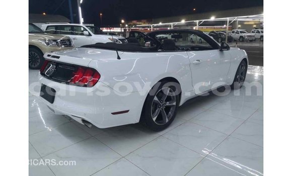 Buy Import Ford Mustang White Car in Import - Dubai in Benign Buy Import Ford Mustang White Car in Import - Dubai in Benign