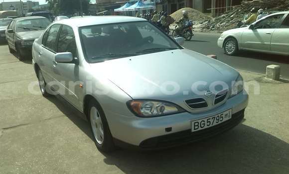 Buy Used Nissan Primera Silver Car in Cotonou in Benign Buy Used Nissan Primera Silver Car in Cotonou in Benign