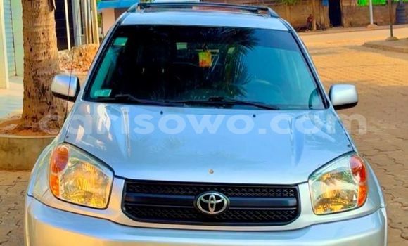 Buy Used Toyota RAV4 Silver Car in Cotonou in Benign