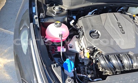 Sayi Sabo Kia Sportage Black Mota in Cotonou a Benin Sayi Sabo Kia Sportage Black Mota in Cotonou a Benin