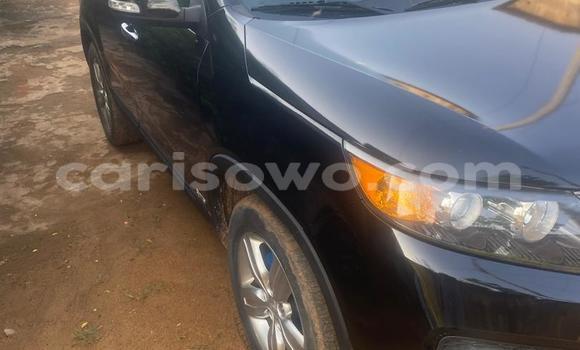 Sayi Na hannu Kia Sorento Brown Mota in Cotonou a Benin Sayi Na hannu Kia Sorento Brown Mota in Cotonou a Benin