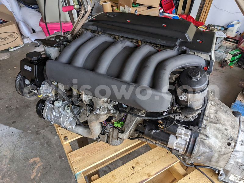 Big with watermark b