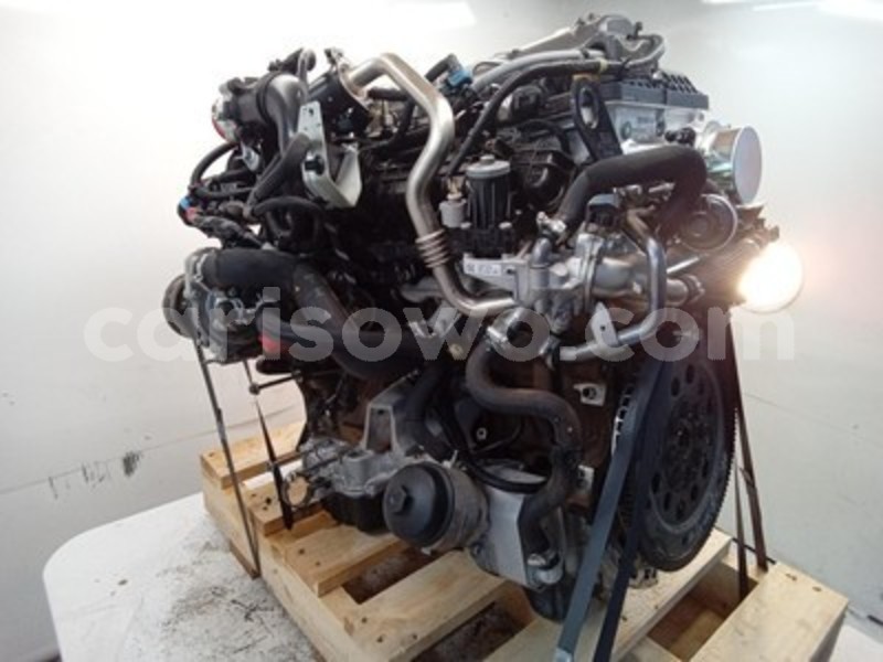 Big with watermark s l960 1