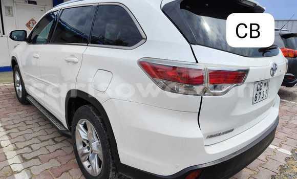 Acheter Neuf Voiture Toyota Highlander Beige à Cotonou, Benin Acheter Neuf Voiture Toyota Highlander Beige à Cotonou, Benin