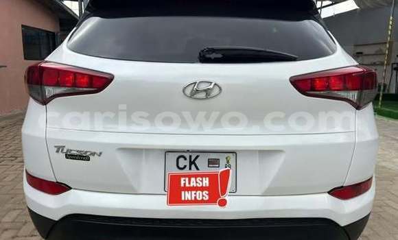 Acheter Occasion Voiture Hyundai Tucson Autre à Cotonou, Benin Acheter Occasion Voiture Hyundai Tucson Autre à Cotonou, Benin
