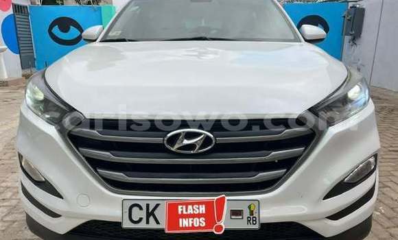 Acheter Occasion Voiture Hyundai Tucson Autre à Cotonou, Benin Acheter Occasion Voiture Hyundai Tucson Autre à Cotonou, Benin