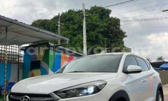 Acheter Occasion Voiture Hyundai Tucson Autre à Cotonou, Benin Acheter Occasion Voiture Hyundai Tucson Autre à Cotonou, Benin