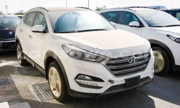 Acheter Import Voiture Hyundai Tucson Blanc à Import - Dubai, Benin Acheter Import Voiture Hyundai Tucson Blanc à Import - Dubai, Benin