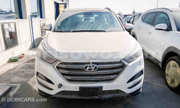 Acheter Import Voiture Hyundai Tucson Blanc à Import - Dubai, Benin Acheter Import Voiture Hyundai Tucson Blanc à Import - Dubai, Benin