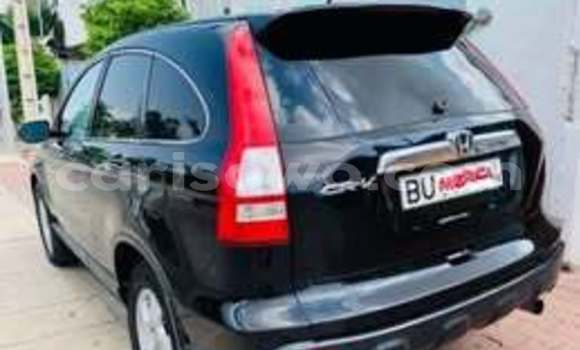 Acheter Occasion Voiture Honda CR–V Autre à Cotonou, Benin Acheter Occasion Voiture Honda CR–V Autre à Cotonou, Benin