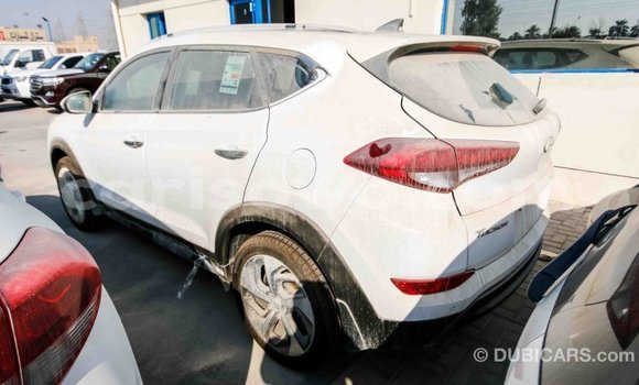 Acheter Import Voiture Hyundai Tucson Blanc à Import - Dubai, Benin Acheter Import Voiture Hyundai Tucson Blanc à Import - Dubai, Benin