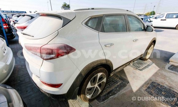 Acheter Import Voiture Hyundai Tucson Blanc à Import - Dubai, Benin Acheter Import Voiture Hyundai Tucson Blanc à Import - Dubai, Benin
