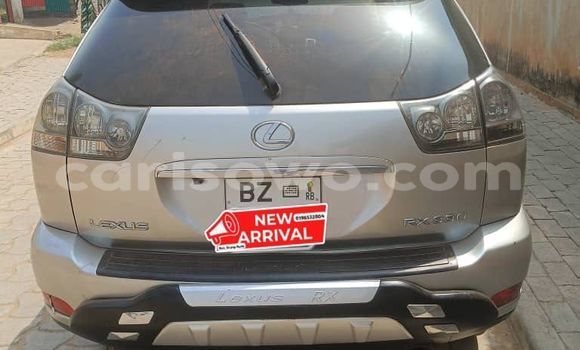Acheter Occasion Voiture Lexus RX 330 Gris à Cotonou, Benin Acheter Occasion Voiture Lexus RX 330 Gris à Cotonou, Benin