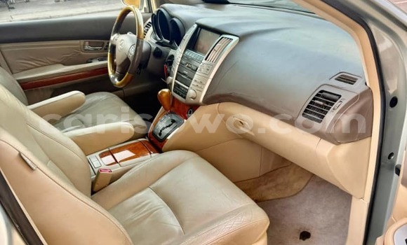 Acheter Occasion Voiture Lexus RX 330 Gris à Cotonou, Benin