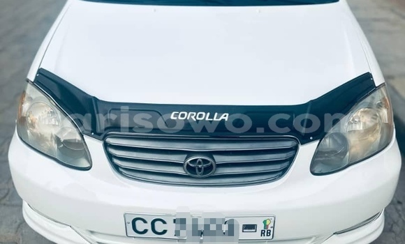 Buy Used Toyota Corolla White Car in Cotonou in Benign Buy Used Toyota Corolla White Car in Cotonou in Benign
