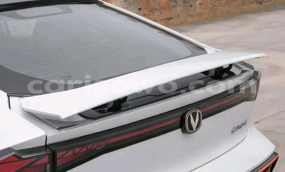 Acheter Occasion Voiture Changan Hunter Blanc à Cotonou, Benin Acheter Occasion Voiture Changan Hunter Blanc à Cotonou, Benin