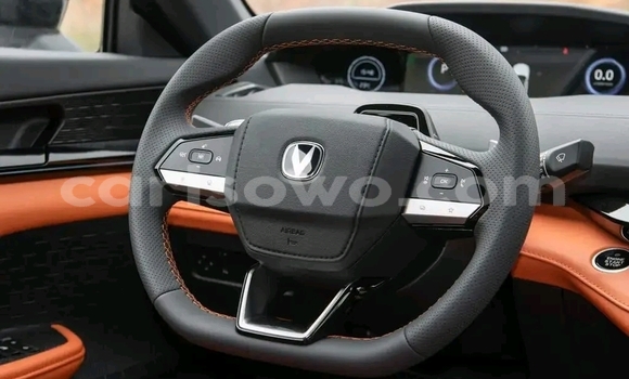 Acheter Occasion Voiture Changan Hunter Blanc à Cotonou, Benin Acheter Occasion Voiture Changan Hunter Blanc à Cotonou, Benin