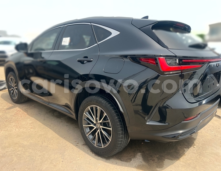 Big with watermark lexus nx benin parakou 24489