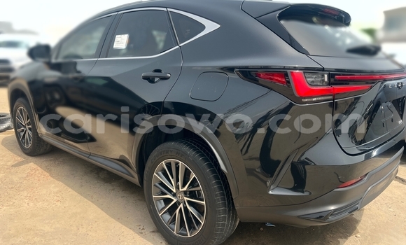 Acheter Occasion Voiture Lexus NX Noir à Parakou, Benin