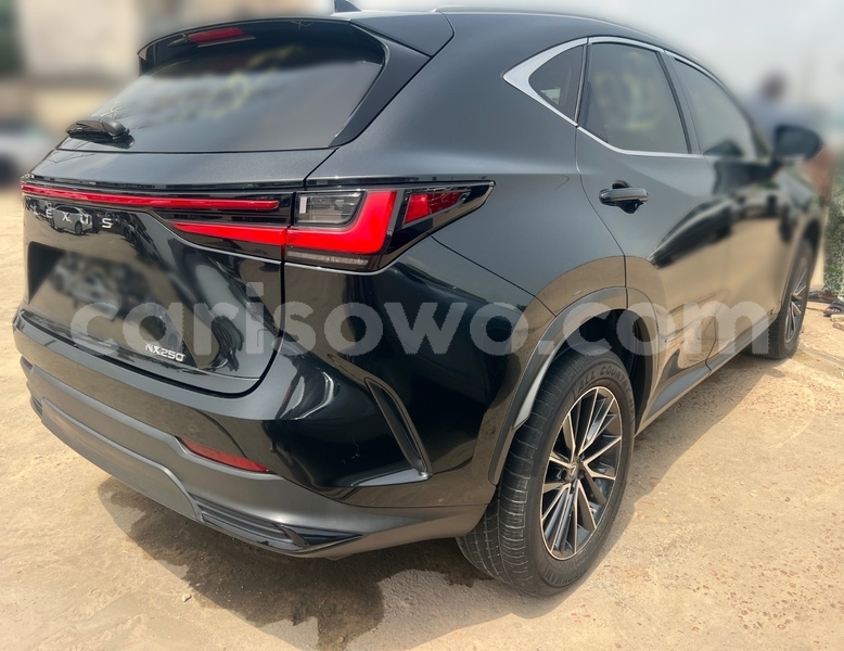 Big with watermark lexus nx benin parakou 24489