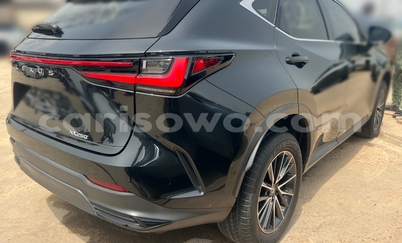 Sayi Na hannu Lexus NX Black Mota in Parakou a Benin Sayi Na hannu Lexus NX Black Mota in Parakou a Benin