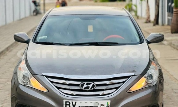 Buy Used Hyundai Sonata Silver Car in Cotonou in Benign Buy Used Hyundai Sonata Silver Car in Cotonou in Benign