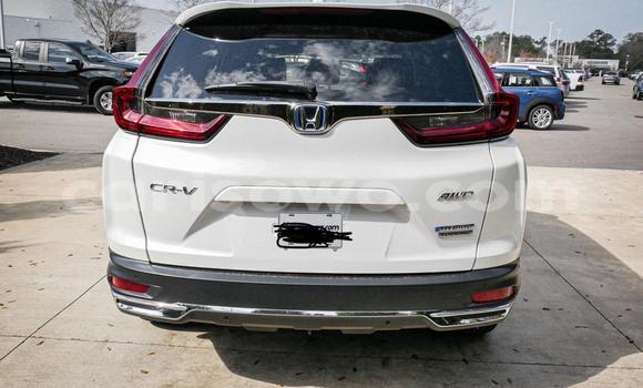 Buy Used Honda CR–V White Car in Cotonou in Benign Buy Used Honda CR–V White Car in Cotonou in Benign