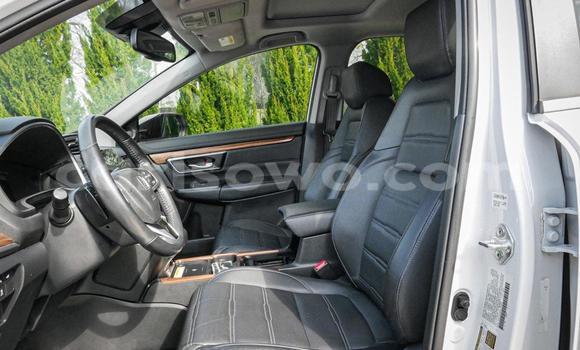 Buy Used Honda CR–V White Car in Cotonou in Benign Buy Used Honda CR–V White Car in Cotonou in Benign