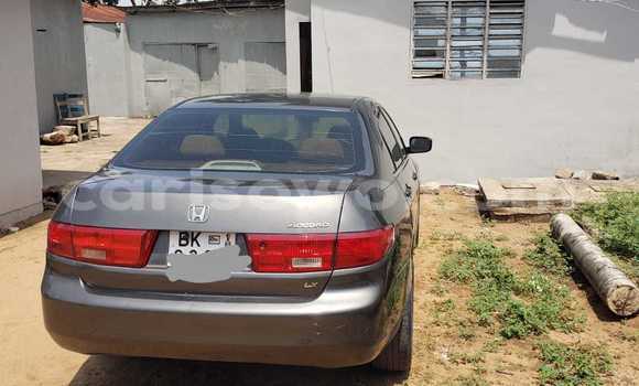 Sayi Na hannu Jeep Wrangler Black Mota in Cotonou a Benin Sayi Na hannu Jeep Wrangler Black Mota in Cotonou a Benin