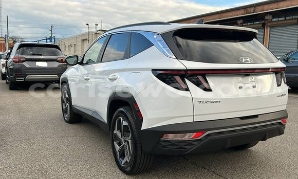 Acheter Occasion Voiture Hyundai Tucson Blanc à Cotonou, Benin Acheter Occasion Voiture Hyundai Tucson Blanc à Cotonou, Benin
