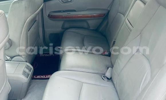 Buy Used Lexus RX 330 Silver Car in Cotonou in Benign Buy Used Lexus RX 330 Silver Car in Cotonou in Benign