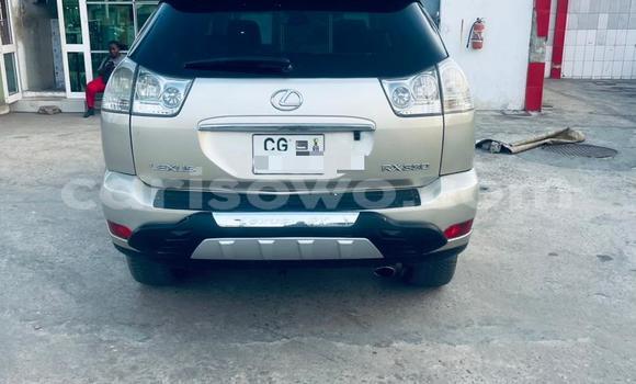 Buy Used Lexus RX 330 Silver Car in Cotonou in Benign Buy Used Lexus RX 330 Silver Car in Cotonou in Benign