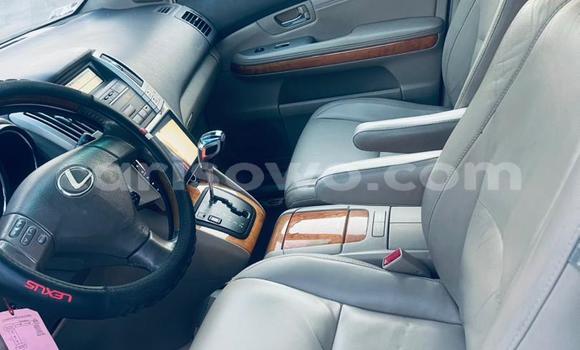 Buy Used Lexus RX 330 Silver Car in Cotonou in Benign Buy Used Lexus RX 330 Silver Car in Cotonou in Benign