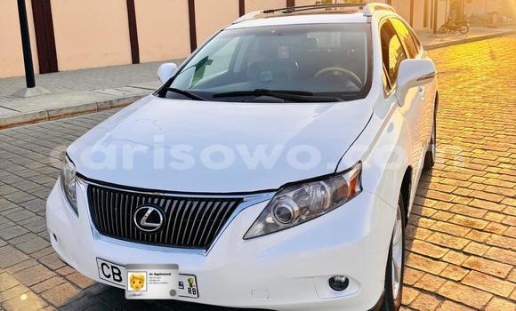 Buy Used Lexus RX 350 White Car in Cotonou in Benign Buy Used Lexus RX 350 White Car in Cotonou in Benign