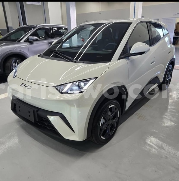 Big with watermark byd seagull benin cotonou 24559