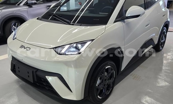 Acheter Occasion Voiture BYD Seagull Blanc à Cotonou, Benin